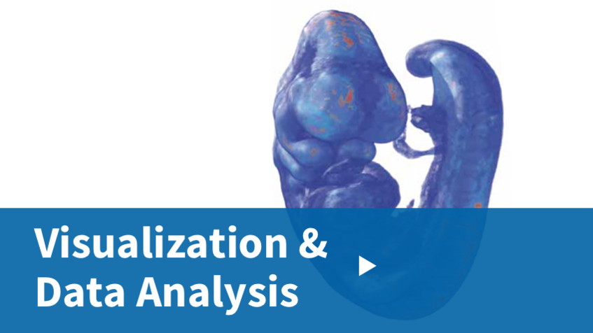 VDA -Visualization and Data Analysis